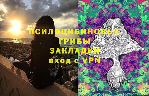 гашик Мегион