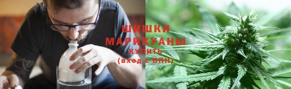 гашик Мегион